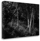 "Sunlit Birches II" By Sue Schlabach, Giclee Print on Gallery Wrap Canvas