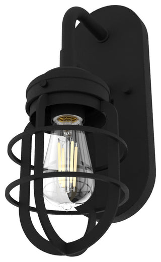 Hunter Starklake 5 Sconce Starklake 15\" Tall Wall Sconce - Natural Iron