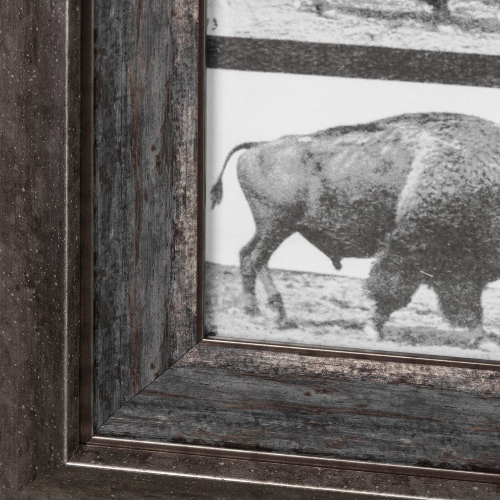 Buffalo Walking Photographic Negative