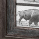 Buffalo Walking Photographic Negative