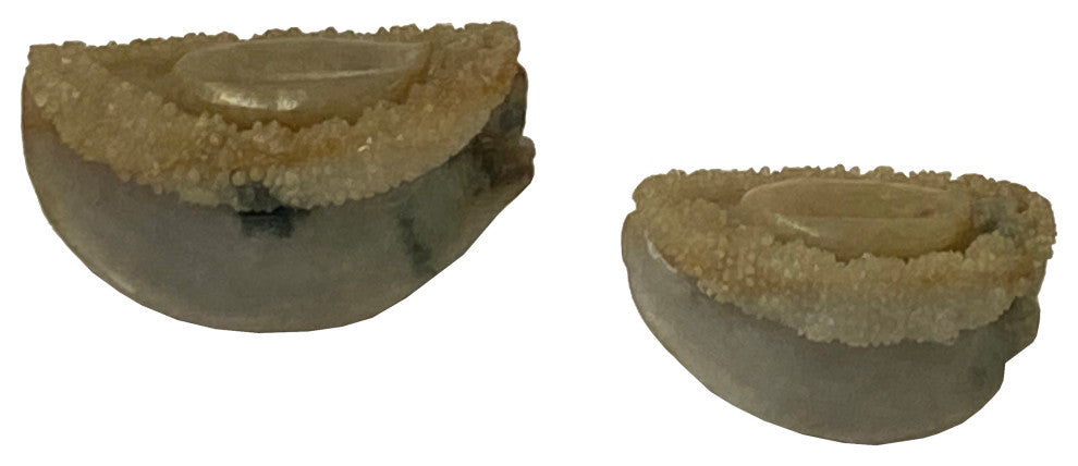 Lot 2 Stone Carved Abalone Shape Display Art, Aws2224