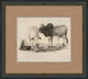 Antique Grazing Cows, Giclee Reproduction Artwork