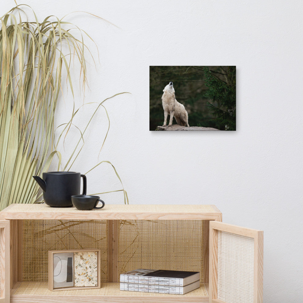 Howling White Wolf In The Forest Wildlife Photograph Canvas Wall Art Print, 12" X 16"