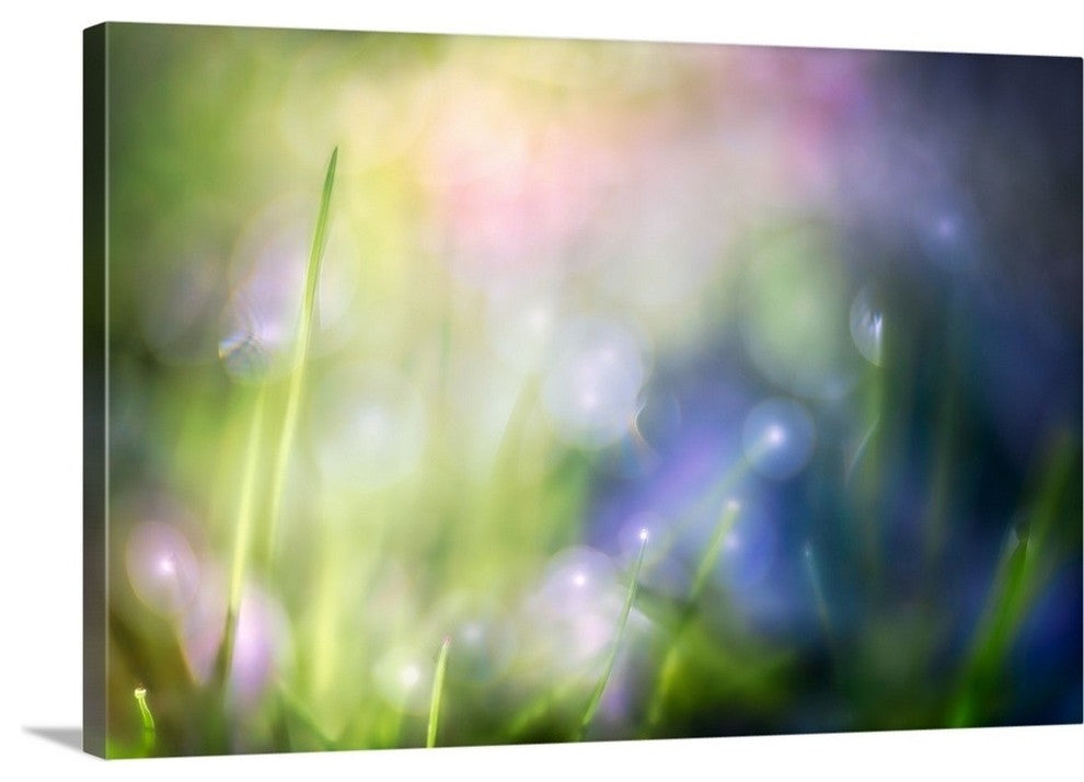 "Colourful Dew" Wrapped Canvas Art Print, 48"x32"x1.5"