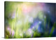 "Colourful Dew" Wrapped Canvas Art Print, 48"x32"x1.5"