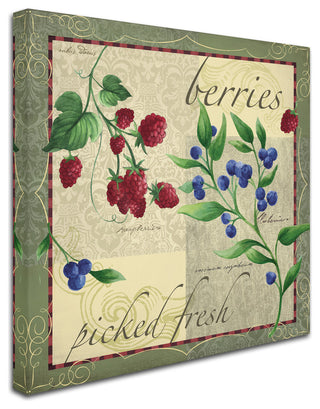 Fiona Stokes-Gilbert 'Berry Patch' Canvas Art, 35 x 35