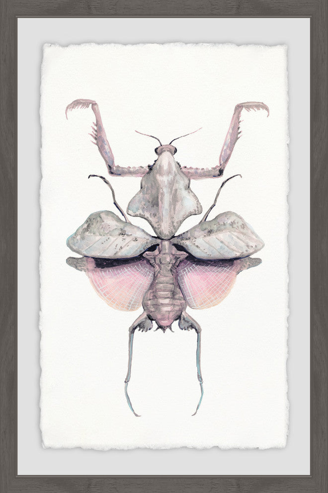 "Prehistoric Pink Bug" Framed Painting Print, 16"x24"