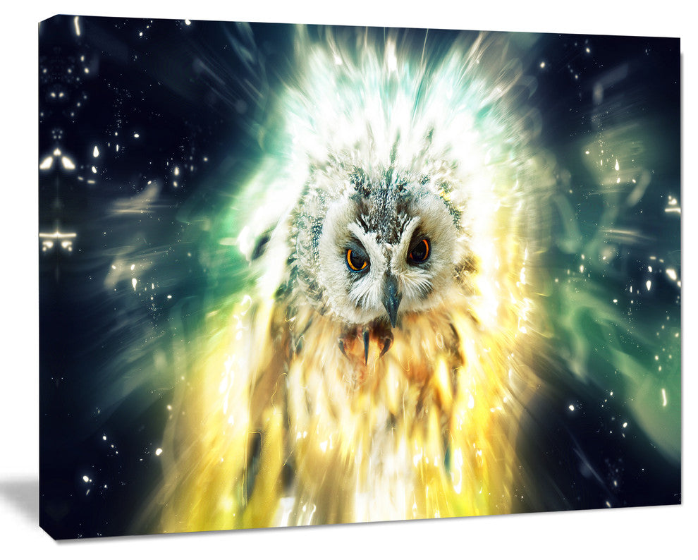 Owl over Colorful Abstract Image, Animal Canvas Wall Art, 20"x12"