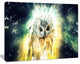 Owl over Colorful Abstract Image, Animal Canvas Wall Art, 20"x12"