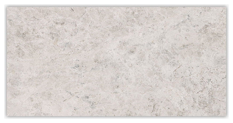 Tundra Gray Polished 12x24 Marble Tile