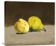 "Deux poires" Artwork, 30" x 26"