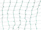 5Mm 4''X6'' Green LED Net Lights, Green Wire