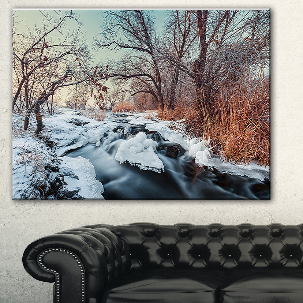 "Ukraine Winter Forest" Canvas Print
