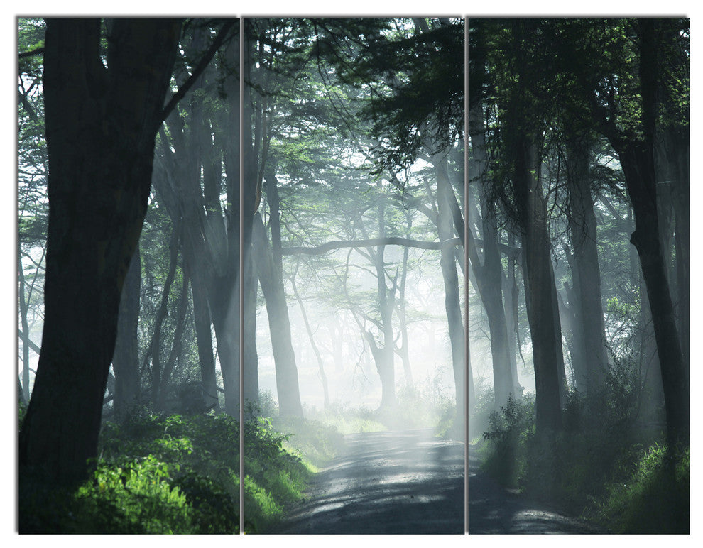 Dense Rain Forest At Sunrise, Landscape Triptych Canvas Art, 36x28, 3 Panels
