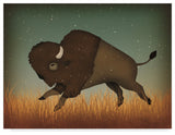 Ryan Fowler 'Buffalo Bison II' Canvas Art