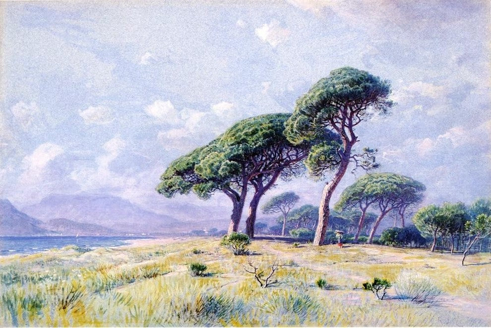 William Stanley Haseltine Cannes, 18"x27" Wall Decal Print
