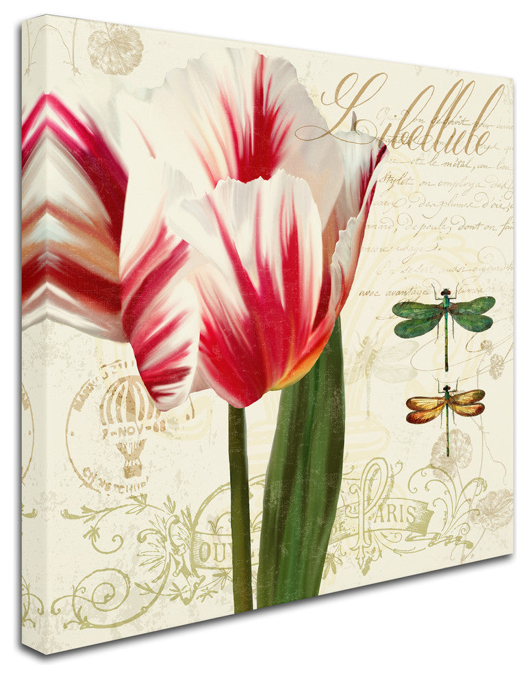 Tina Lavoie 'Natural History Sketchbook I' Canvas Art, 14" x 14"