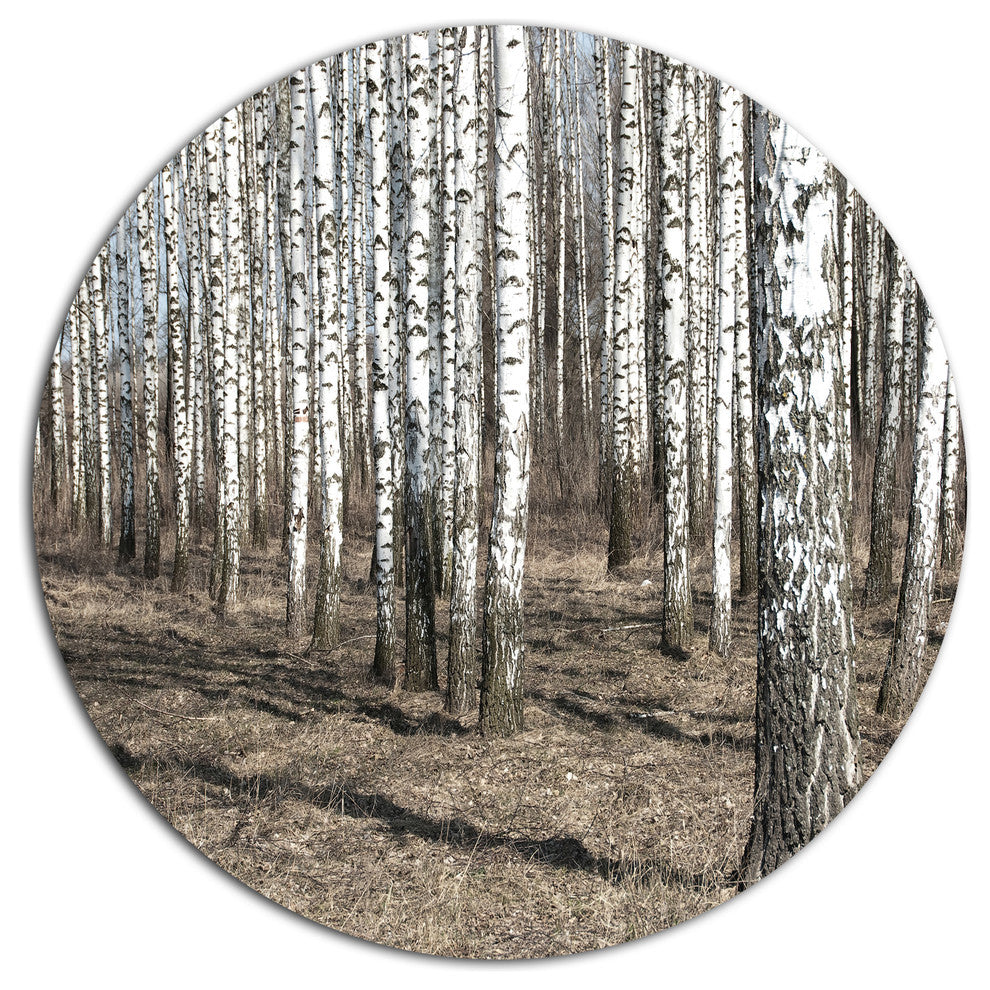 Beautiful Dense Birch Forest View, Modern Forest Round Wall Art, 23"