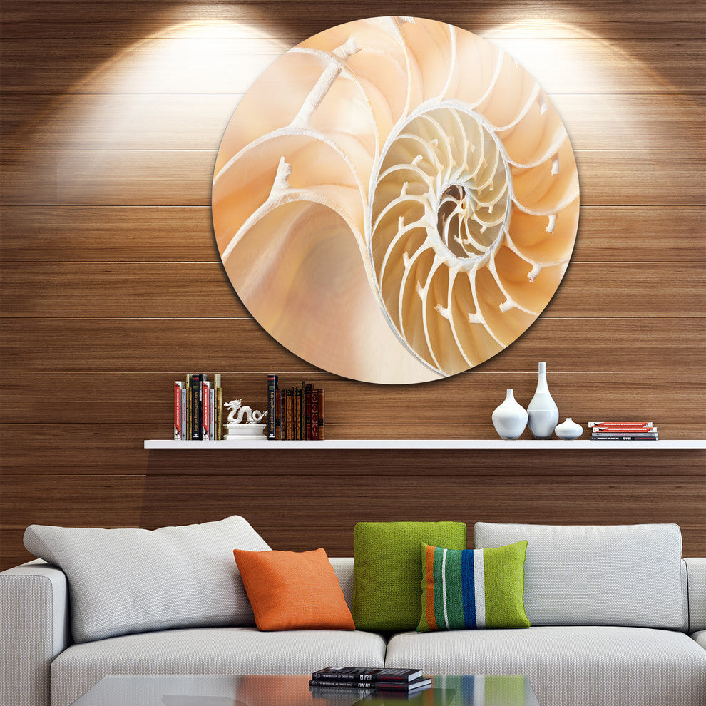Brown Nautilus Shell Pattern, Abstract Art Disc Metal Wall Art, 11"