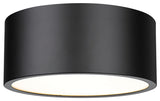 Z-Lite 2302F2 Harley 2 Light 12"W Flush Mount Drum Ceiling - Matte Black