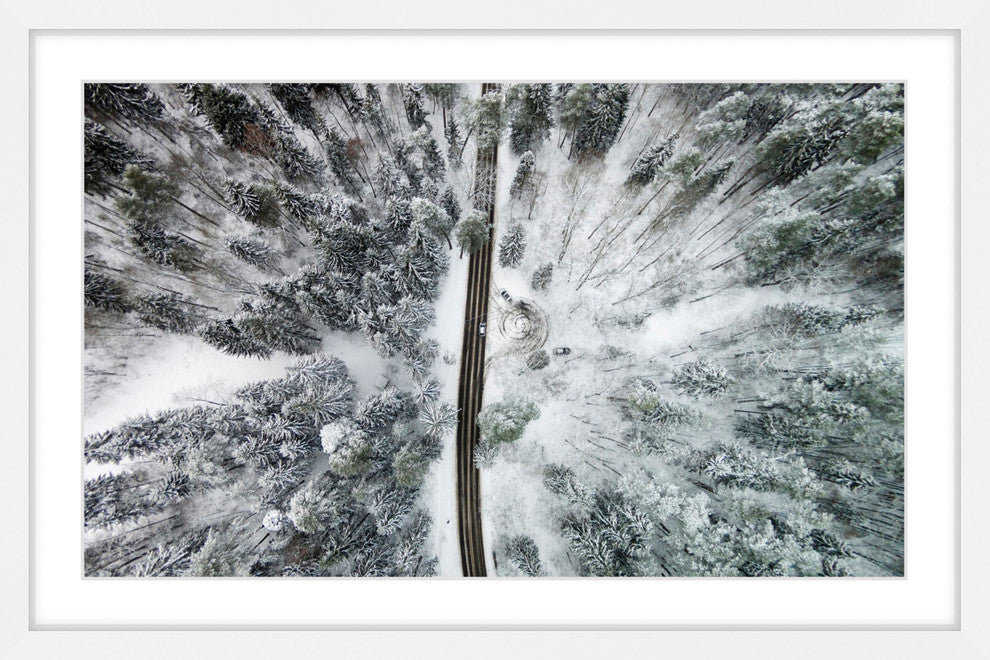 "Amid The Cold" Framed Print by Karolis Janulis