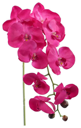 33.5" Real Touch Phalaenopsis Orchids - 2 Pack