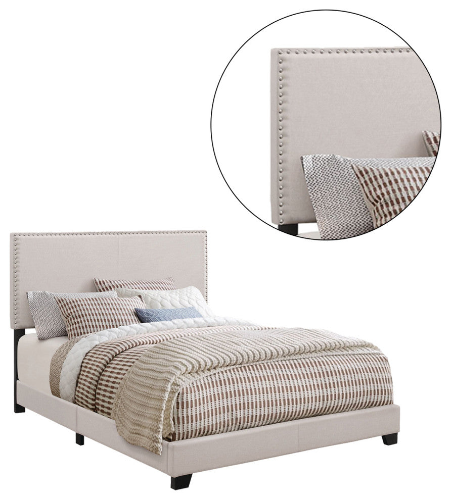 Twin Upholstered Bed With Nailhead Trim, Ivory