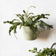 Melia Woven Jute Hanging Basket with Handle 4.6 x 5.2 x 4.8in. Sage Green