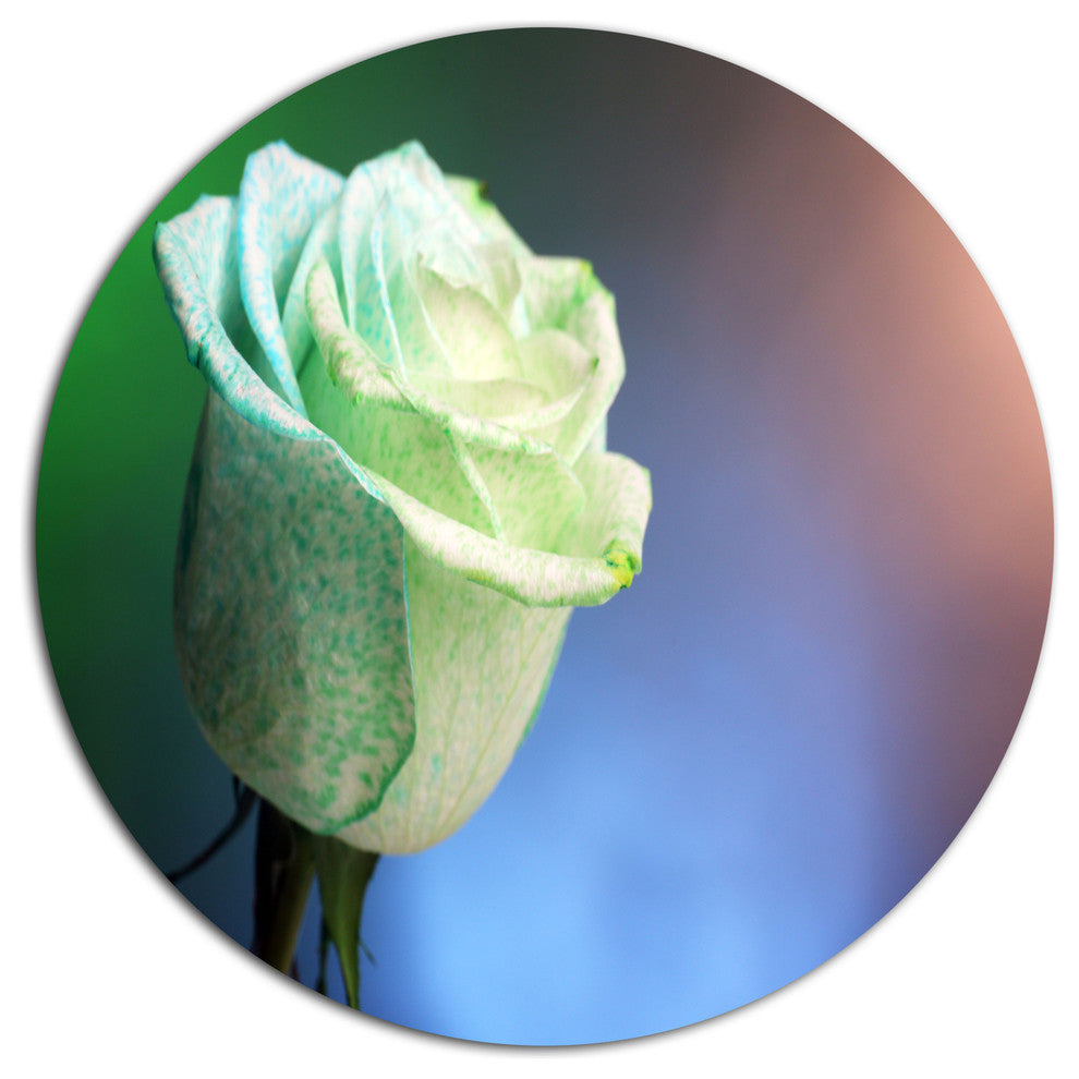 Beautiful White Painted Rose, Modern Flower Round Metal Wall Art, 11"