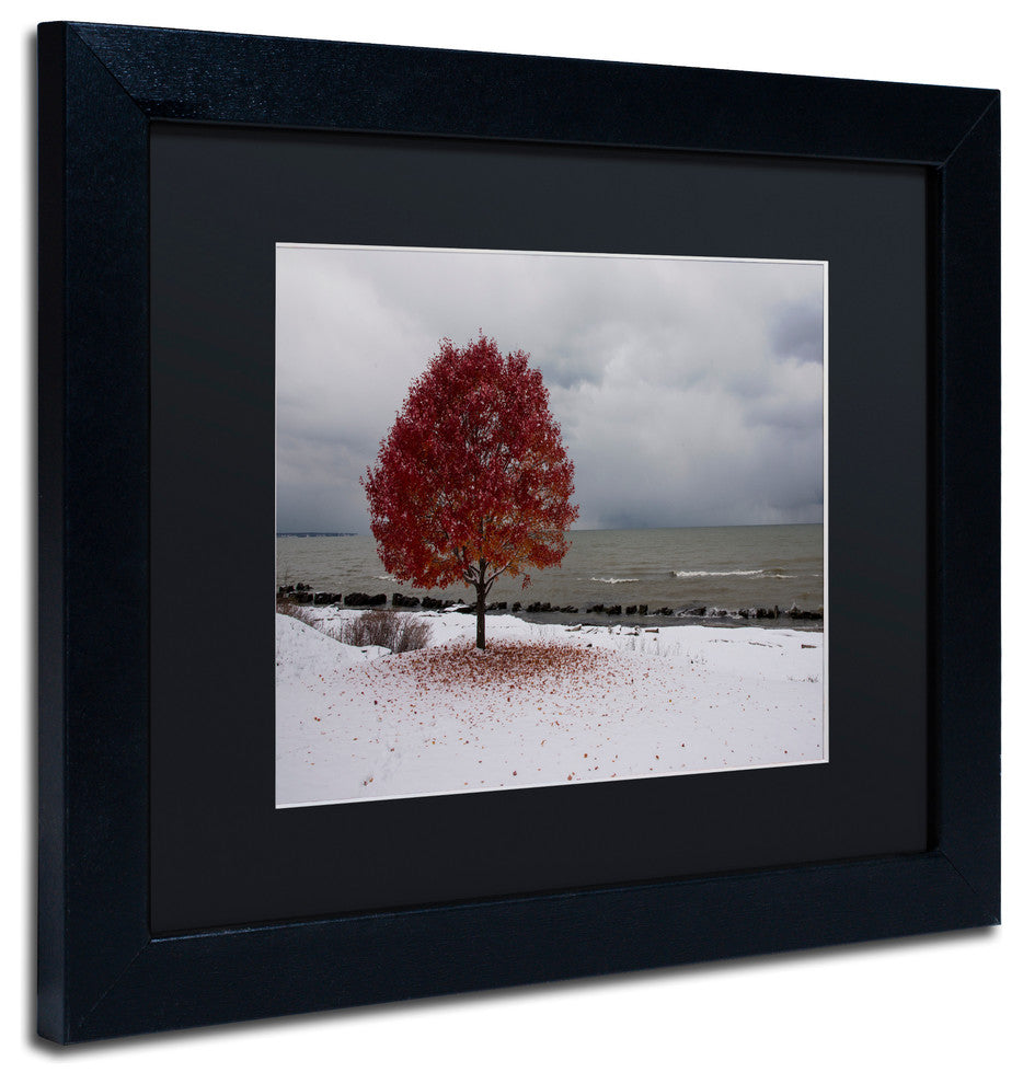 ''Autumn Contrast on the Lake'' Matted Framed Canvas Art by Kurt Shaffer