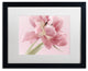 Cora Niele ''Soft Pink Tulip'' Matted Framed Art