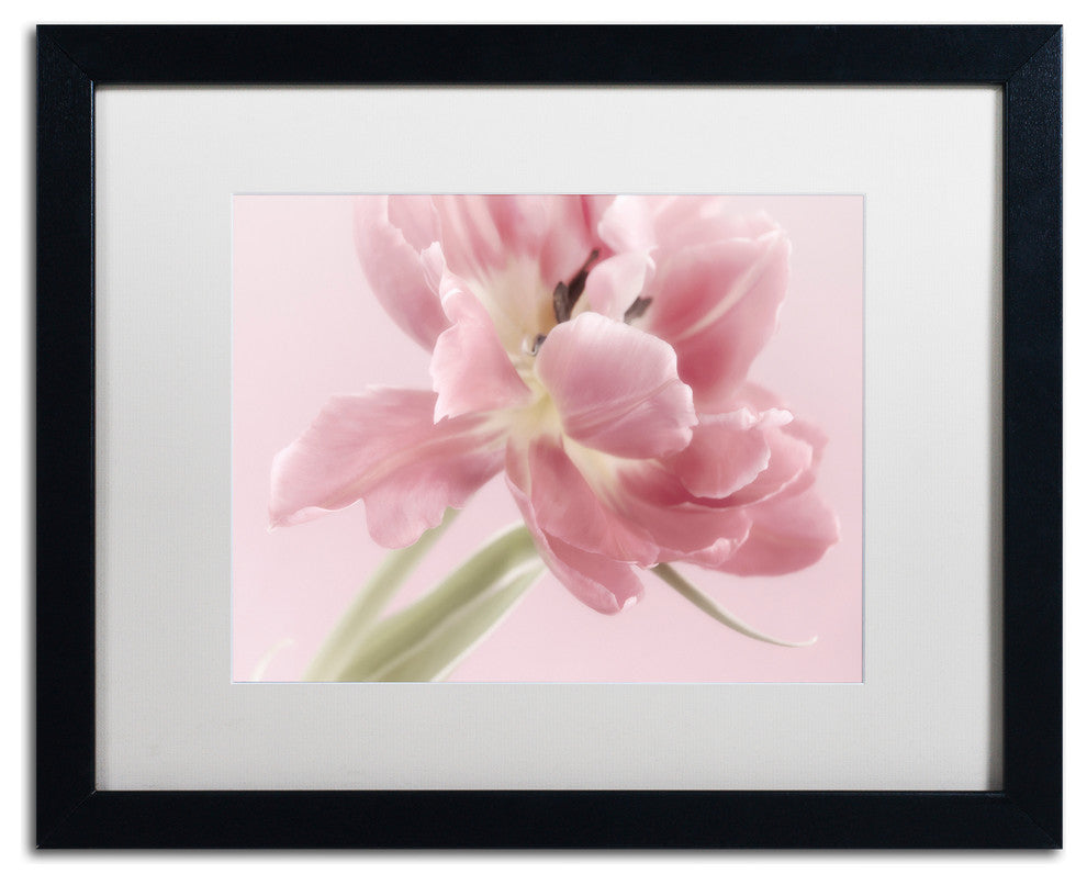 Cora Niele ''Soft Pink Tulip'' Matted Framed Art