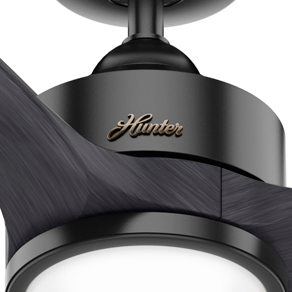 Hunter 52" Park View Matte Black Damp Ceiling Fan With LED Light Kit and Remote