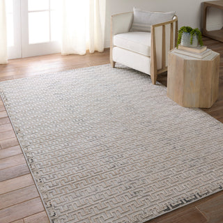 Baxley Geometric Gray/ Beige Area Rug 10'X14'