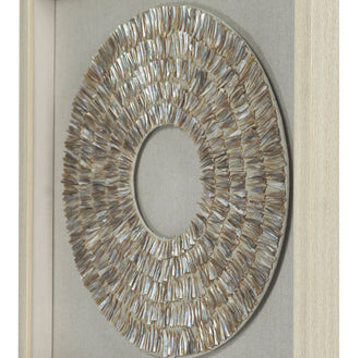 Pearl Oyster Shell Shadow Box Wall DÃ©cor
