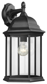 Sevier 1-Light Outdoor Wall Lantern, Black