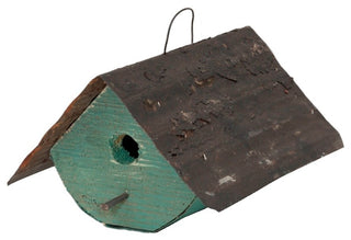 Buck's County Wren, Green