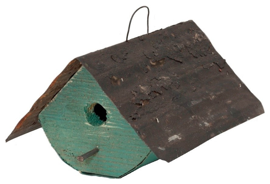 Buck's County Wren, Green