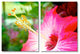 Hibiscus Canvas Wall Art, 2-Piece Set