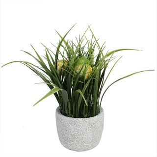 Full product on white background; alternate white-full presentation.