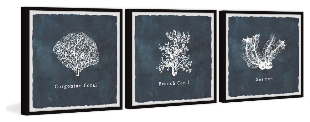 Gorgonian Coral Triptych, 3-Piece Set, 32x32 Panels
