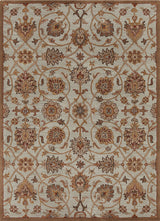 Bajrang Transitional Area Rug