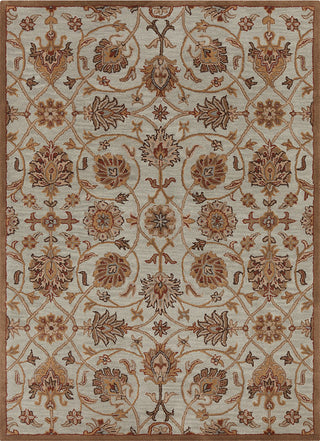 Bajrang Transitional Area Rug