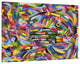 "Rules of the Rainbow II" Frameless Free Floating Tempered Glass Panel Wall Art