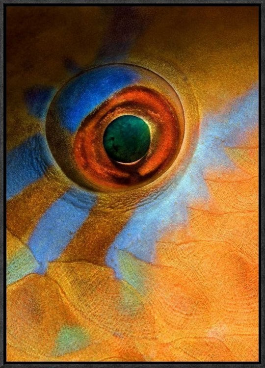 "Makeup" Framed Canvas Giclee by Andrey Narchuk, 16x23"