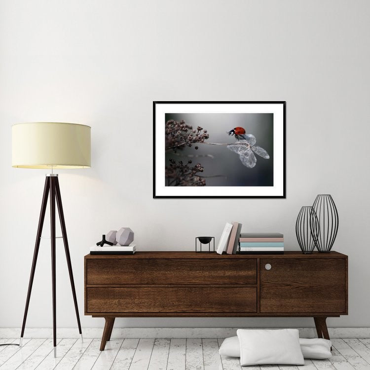 "Ladybird On Hydrangea." Framed Digital Print by Ellen Van Deelen, 44x32"