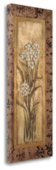 "Paperwhites I" By Mindeli, Giclee Print on Gallery Wrap Canvas, Ready to Hang
