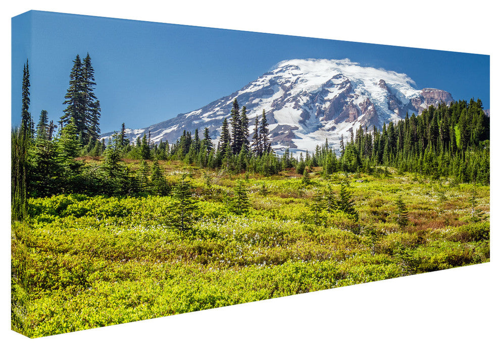 ''Mount Rainier Meadow'' Canvas Art by Pierre Leclerc