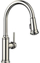 Blanco 442502 Empressa 1-Handle Pull-Down Kitchen Faucet, Polished Nickel