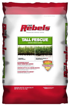 Pennington 100526884 Rebel Tall Fescue Grass Seed, 40 lb
